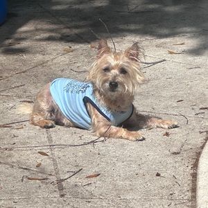 Meet your Posher, Nala